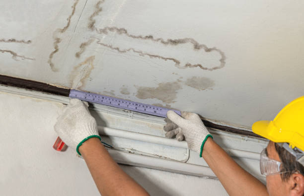 Reliable Ceiling Water Damage Repair contractor in Jonesville, MI by Hirex Water Damage